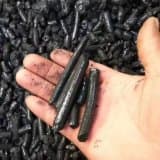 Bitumen Hard Pitch Medium Temperature Coal Tar Pitch for Sale