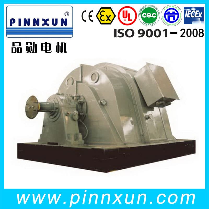 2400V 3000V 5500V 6000V 50Hz 60Hz Synchronous Motor
