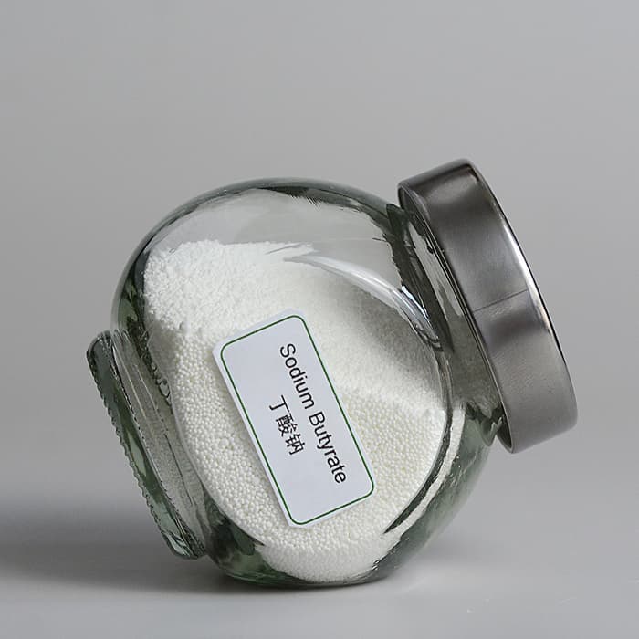 Food Additive Sodium Butyrate Powder 98% Purity with Factory Price