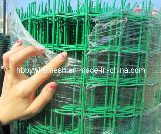 China Factory PVC Coated Welded Wire Mesh/ Plastic Coated Wire/ Wire Mesh (ISO 9001)