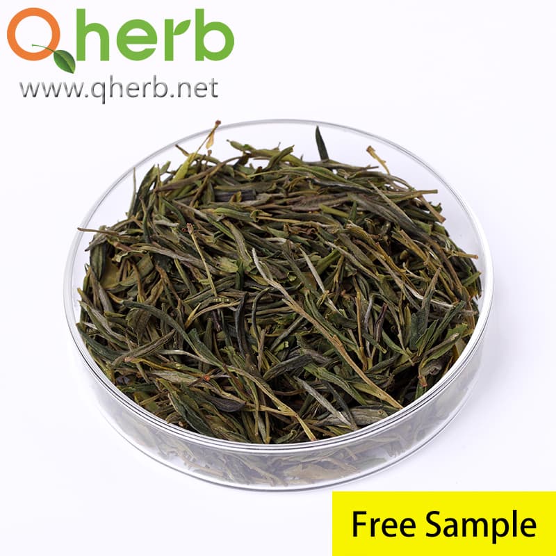 Factory Supply 45% EGCG 98% Tea Polyphenols Green Tea Extract Free Sample