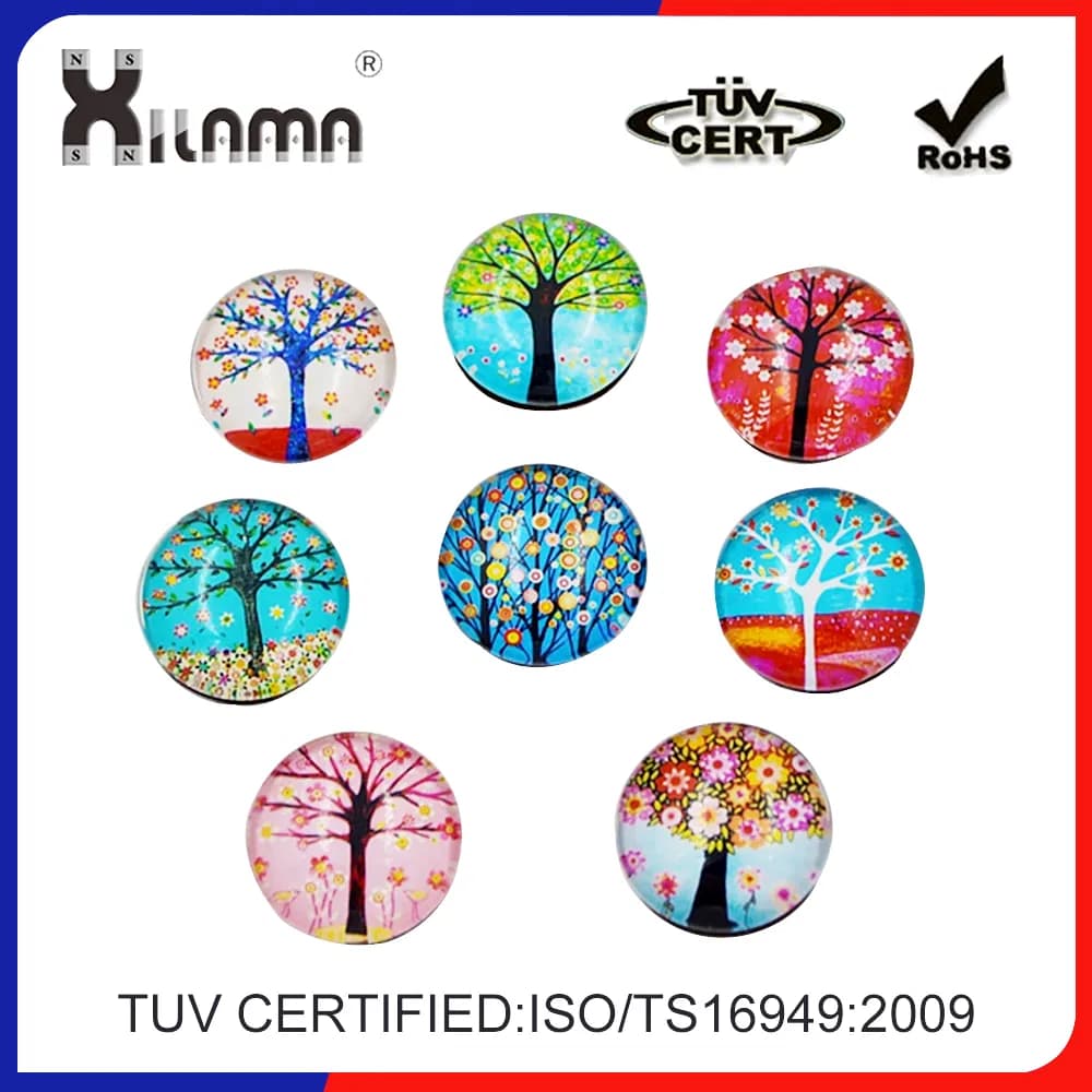 3D Magnet Plastic Magnet Sticker Magnet Souvenir Fridge Magnet Set