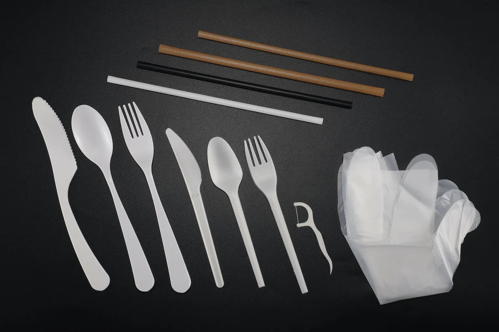 Single-Use PLA Tableware Cutlery Set for Eco-Conscious Users