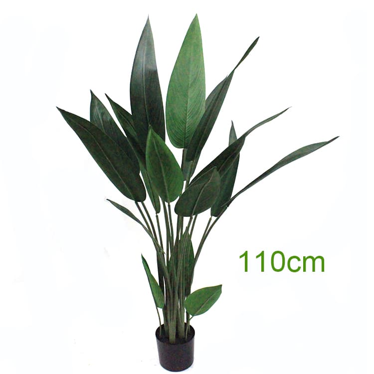 High Density Leaf Potted Plant Paradise Bird in Red Flowe Tree