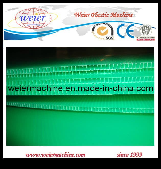 Sunlight PC/ PP/ PE Hollow Grid Sheet Machinery