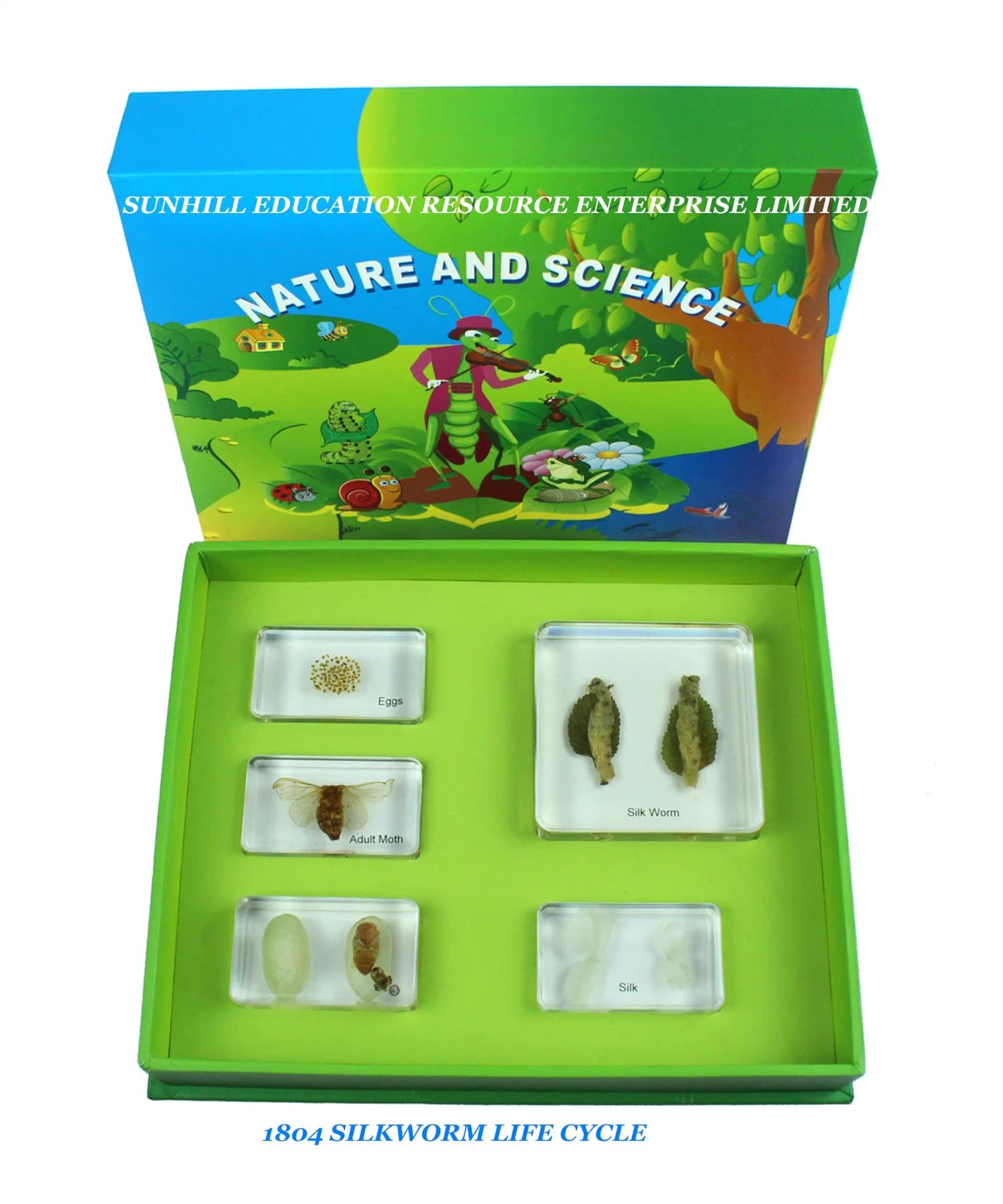 Kids Science Classroom and Educational Resin and Crystal Teaching Specimen for Kindergarten and Preschool, Nursery School, Education Science Learning Toy