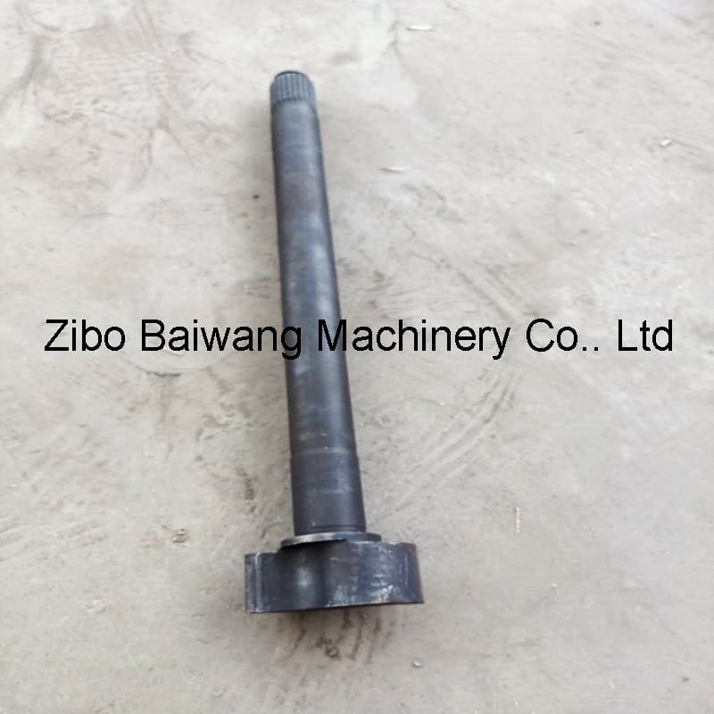 OE Number 264142305106 Brake Camshaft for Tata Light Trucks