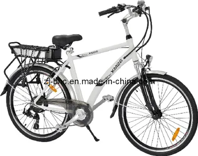 Electric Bike Bhc-EB-004F(MAN)