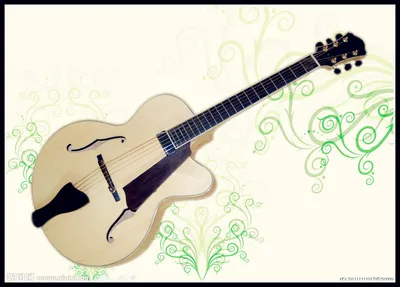 17"Hollow Jazz Guitar with Solid Wood (YZ-15N)