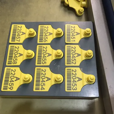 Wholesale TPU Plastic Livestock Ear Tags for Livestock Identification