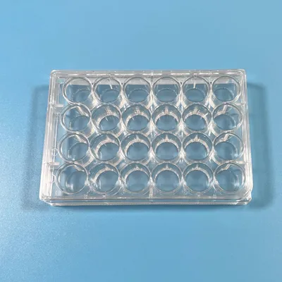 CE Approved 24-Well Culture Plate