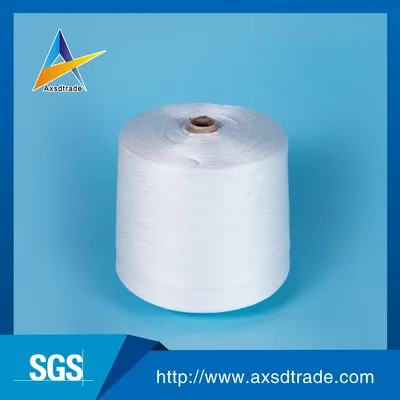 20/2 100% Polyester Embroidery Thread Yarn with Color