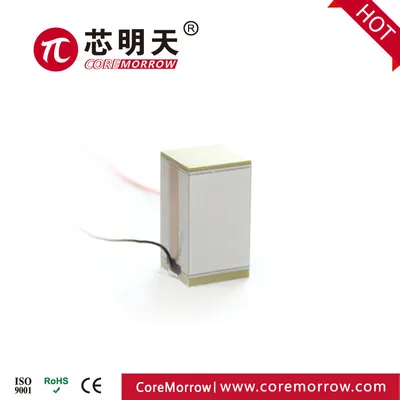 CoreMorrow High Precision Multilayer Piezoelectric Actuator for CCD Anti-Shake