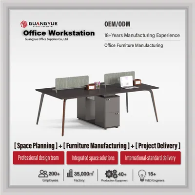 Expandable Steel Frame Office Workstation for Commercial Use, Customizable Options