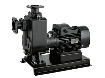Environmentally Friendly Wear Resistant Easy Operate Maintain Electric Water Transfer Pump