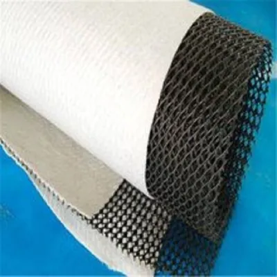 Advanced Shandong Geonet for Superior Landfill Drainage Solutions