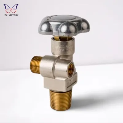 Zx 166.7bar 200bar 25e W21.8 Rpv Valve for CO2 Residual Pressure Valve Tped Pi Certified