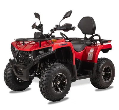 New Adult ATV 2 Seaters Quad Bike Automatic Gear 200cc 250cc ATV