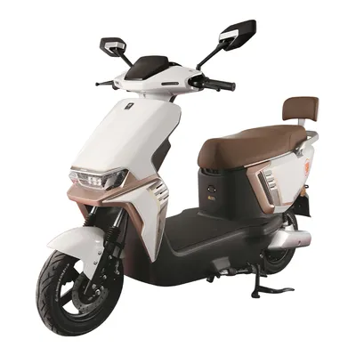 Zuboo 45km/H 1200W Lightweight 10 Inch Brushless DC Electric Motorcycles for Adult