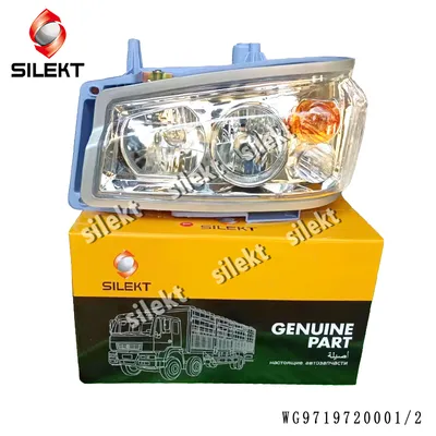Left Head Lamp Assy. China Original Sinotruk HOWO Shacman Foton FAW JAC Beibennew Truck Spare Parts for Sale Wg9719720001