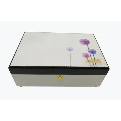 Fashionable PU Painting Wooden Jewelry Packaging Box with Mirror
