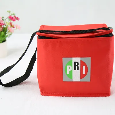 Non Woven Cooler Bag for Frozen Food