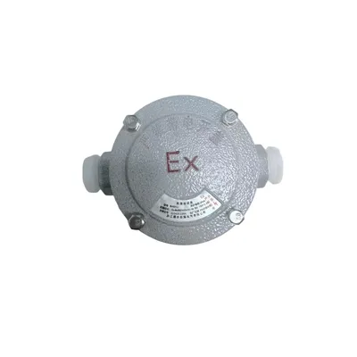 Explosion-Proof Junction Box B-2W-F for Safe Electrical Use