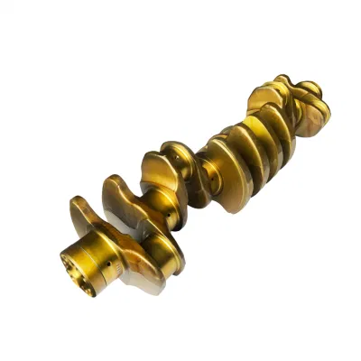 4570310201 Crankshaft Engine Parts for Mercedes Benz Om457 European Spare Part