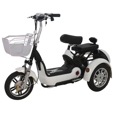 China Factory Supply Fashion Design Powerful 3 Wheel Electric Scooter for Sale