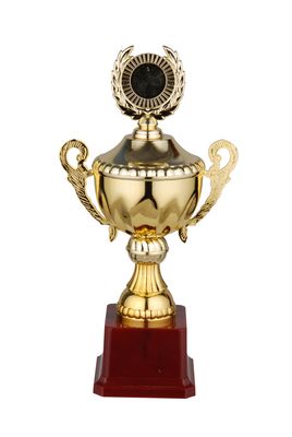 2013 New Design Awards Trophy Cup Fb2013
