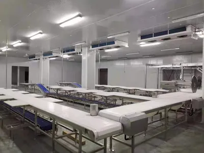 Ztl-600 Cutting Conveyor Belt Packing Conveyor Belt
