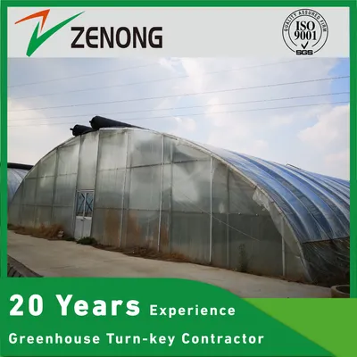 Economical Single-Span Arch Tunnel Greenhouse for Seasonal Vegetable & Seedling Cultivation