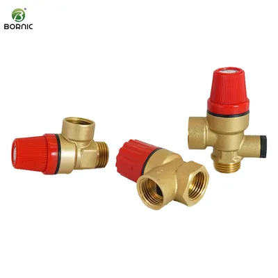 Bornic 3/4 1/2 Inch 3 5 6 8 Bar Male Female Brass Safety Valve Pressure Vacuum Relief Valve