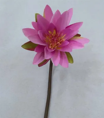 Artificial Silk Single Stem Water Lily Flowers for Decoration