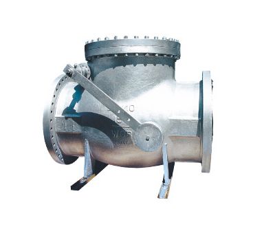 Class 300 Check Valve