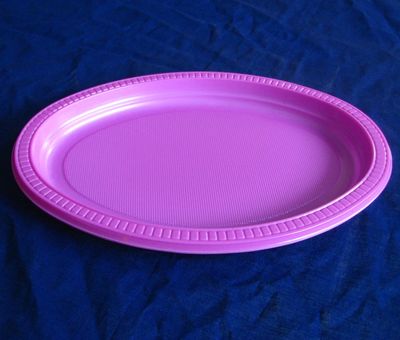 Plastic Plate - 10