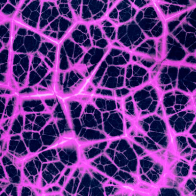 Bright-Coloured Polyester Spandex Swimwear Fabric