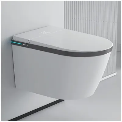 Smart One Piece Back to Wall Toilet Seat Set