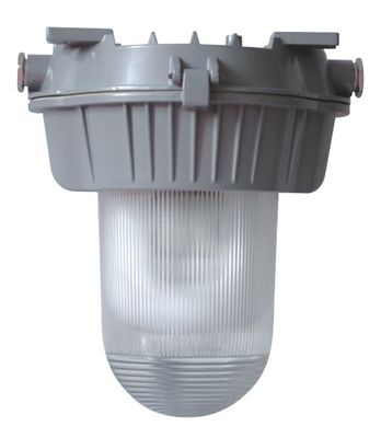 CFL Campact Compact Fluorescent Light (9130A)