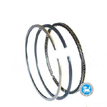 Piston Ring