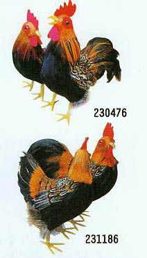 Feather Products