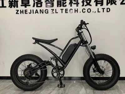 20" Fat Tire 36V 350W Hub Motor 13ah Battery Electric Motorcycle Ebike