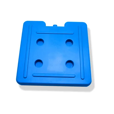 Food Fresh Medical Plastic Ice Box