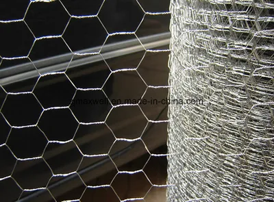 Galvanized Hexagonal/Coated Wire Mesh Chicken Wire Mesh