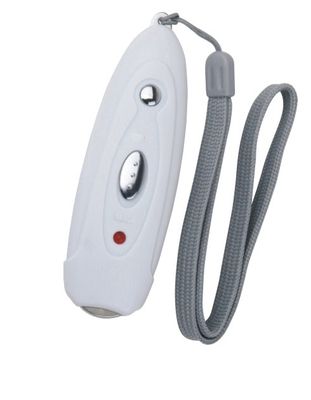 Mini Money Detector (DST-2019)