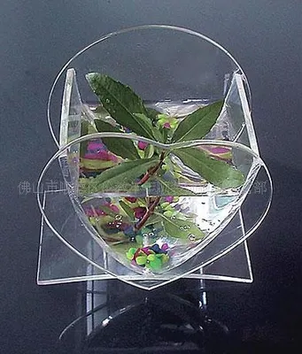 Plexiglass Acrylic Fish Bowl