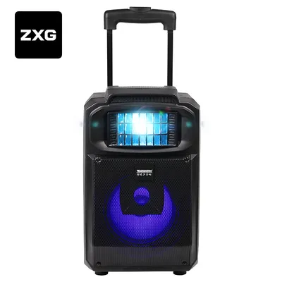 Lead Battery Rechargeable 8 Inch DJ Active Portable Trolley Outdoor Karaoke Speaker with 2 Wireless Mics