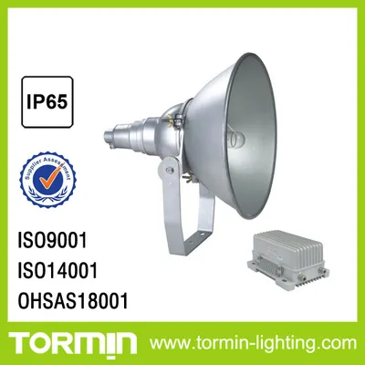 1000W Industrial Metal Halide Light Shock Proof Spot Light