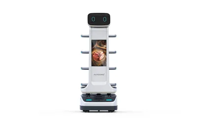 Bipedal Humanoid Robot Autonomous Mobile Robot with Voice Interaction Function