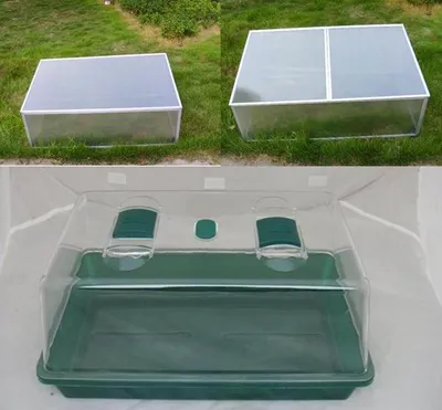 Plant Greenhouse
